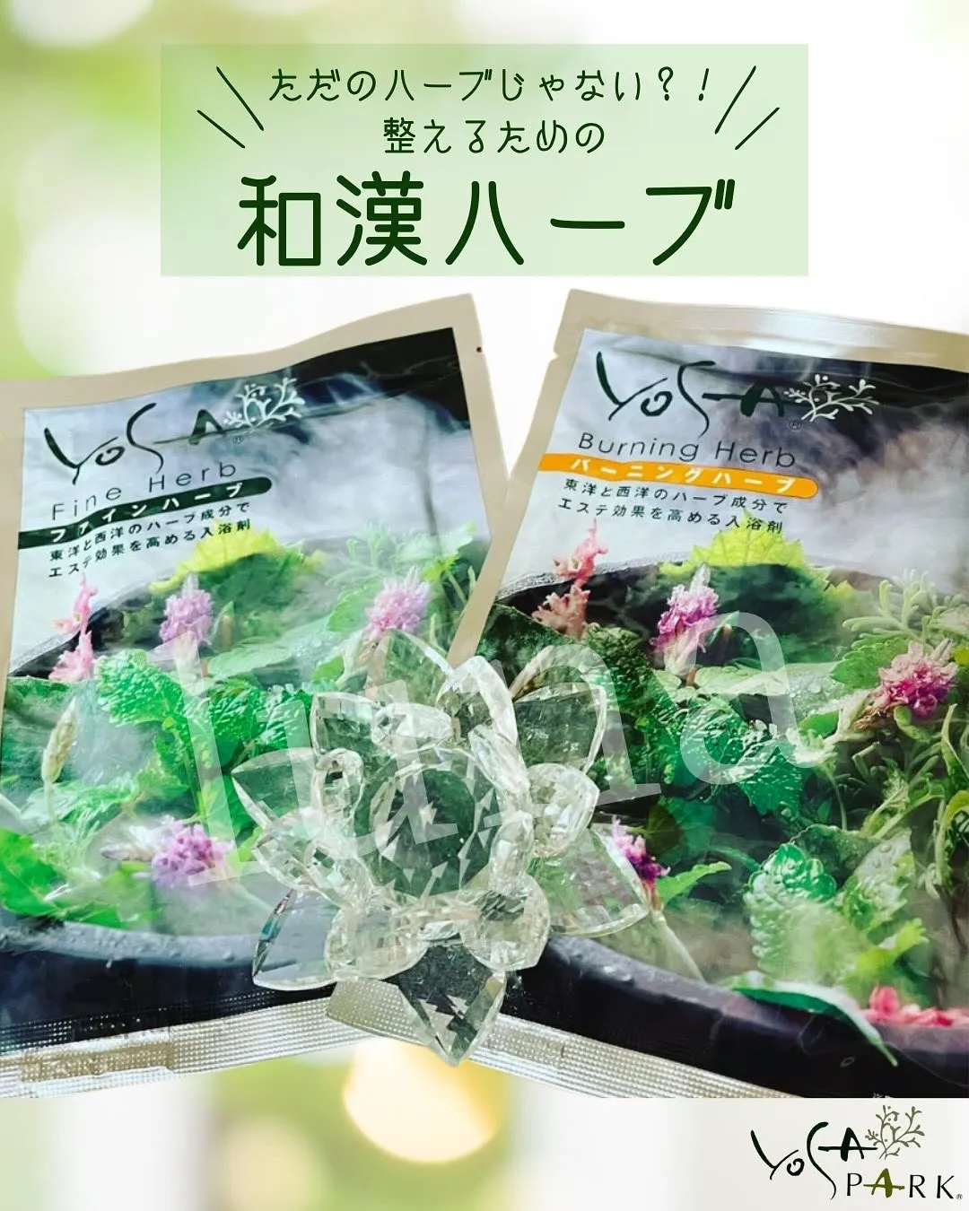 🌿 ただのハーブじゃない？！