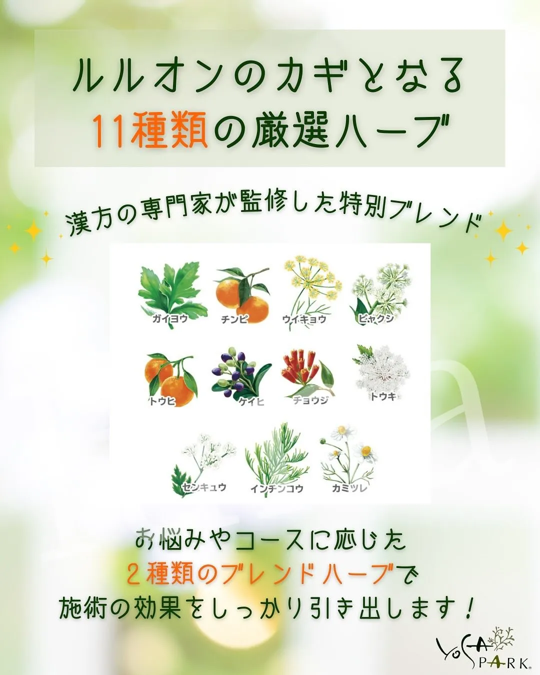 🌿 ただのハーブじゃない？！