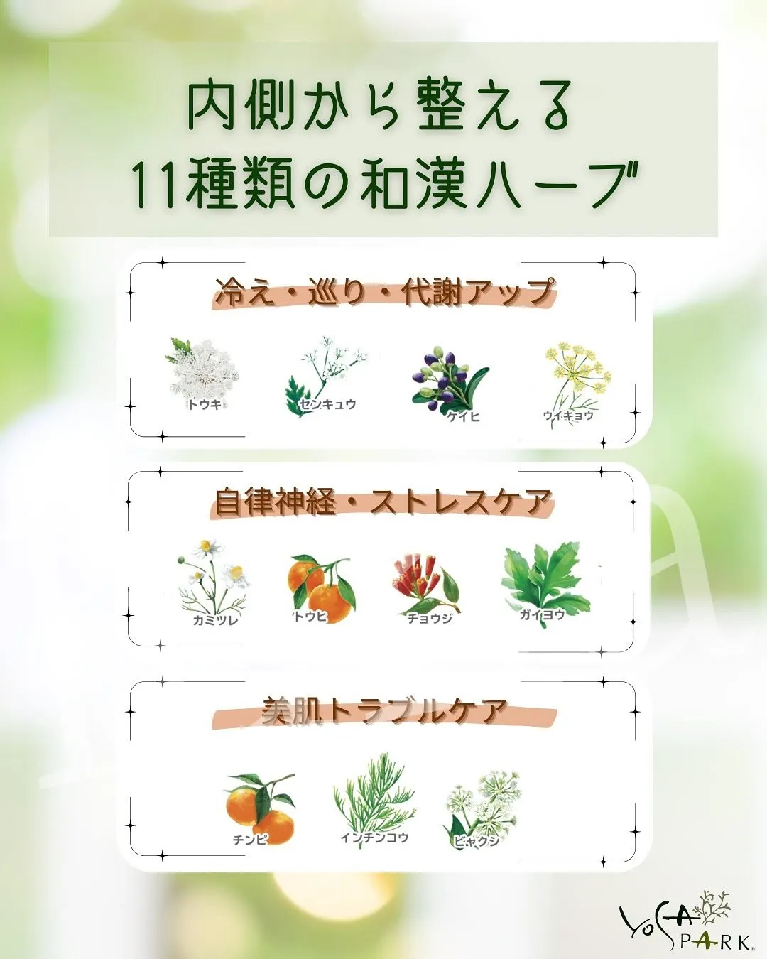 🌿 ただのハーブじゃない？！