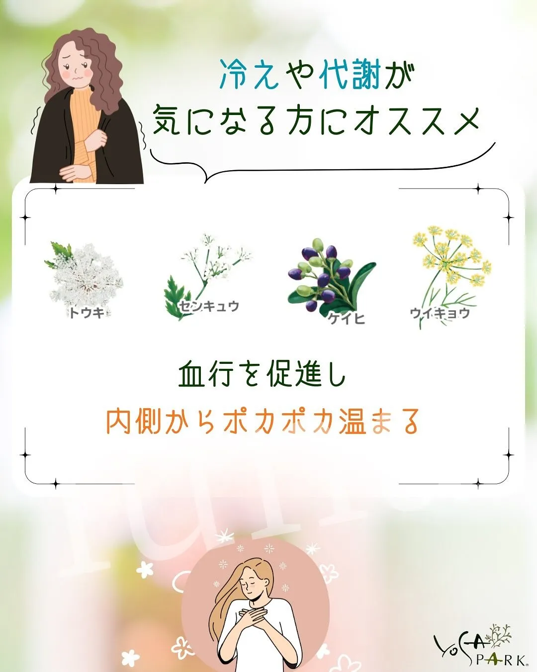 🌿 ただのハーブじゃない？！