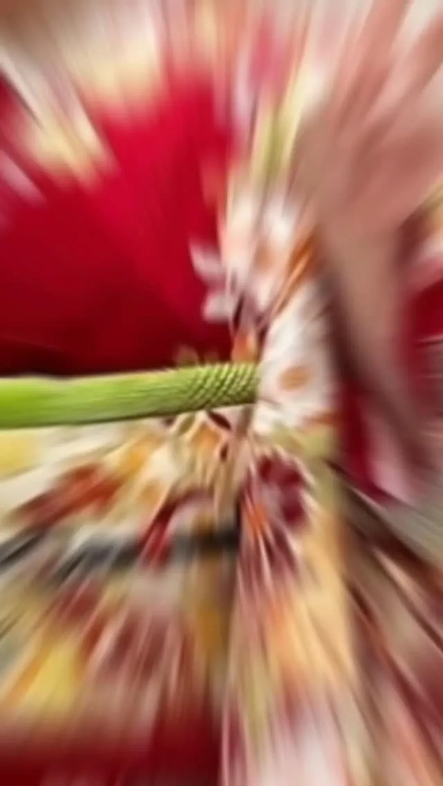 \もう無理…って思った女性のみなさんへ/